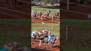 Vitória De Jimba Por Todos Os Ângulos