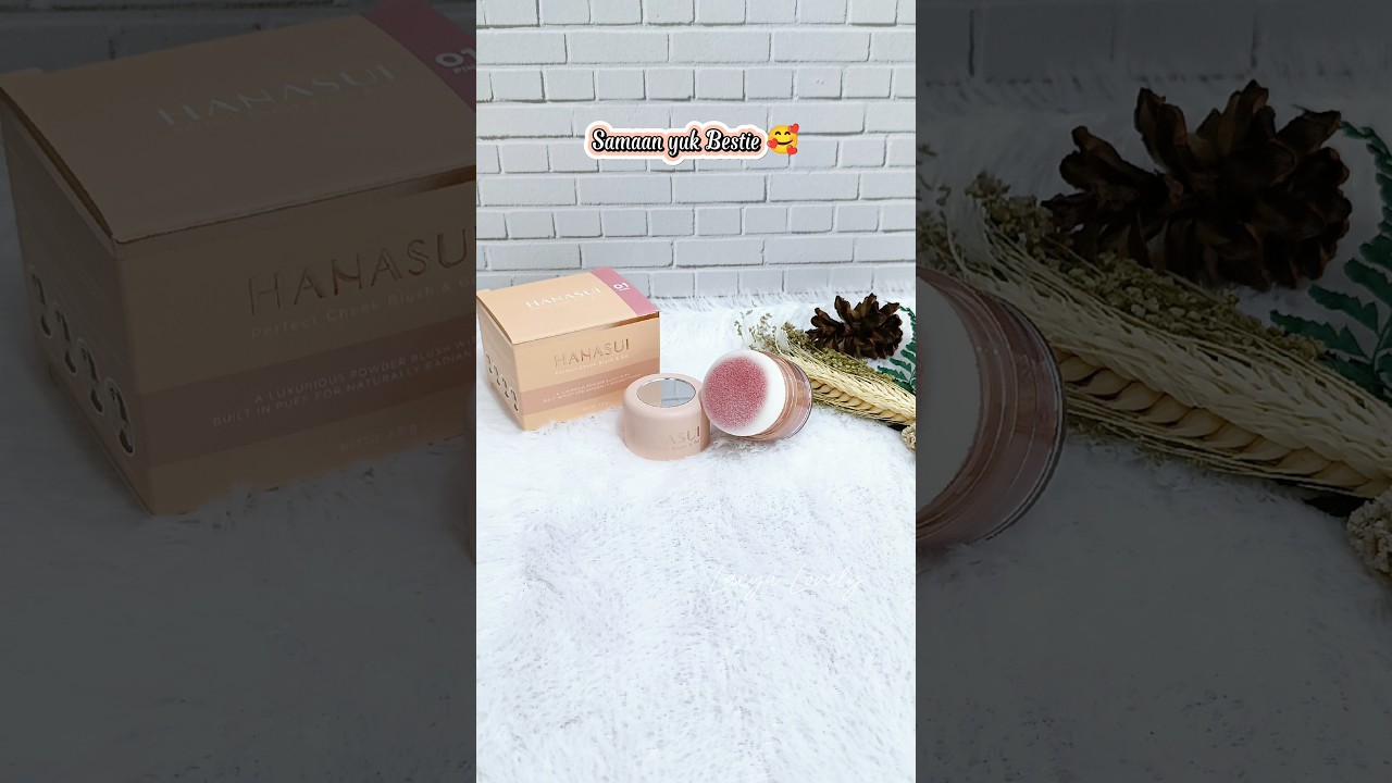 HANASUI Perfect Check Blush & Go 