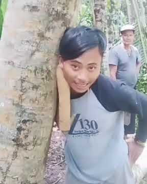 wong lanang kudu kuat  video story WA