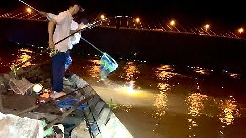 cầu mỹ thuận 2: Câu cá Basa mùa nước đổ || Trí Nguyễn 64Vlog #24