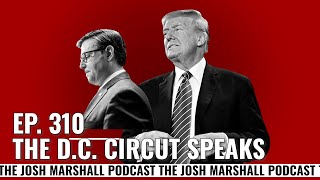 Ep. 310: The D.C. Circuit Speaks