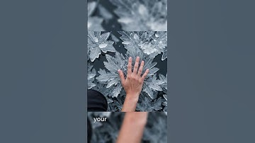 What If You Touched Absolute Zero?