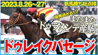 新馬勝ち総点検】ドゥラメンテ産駒達が優秀過ぎる！ドゥレイクパセージ