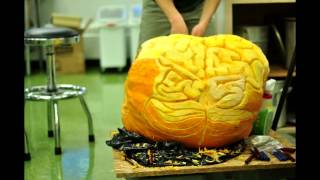The Carving of Cerebrumpkin