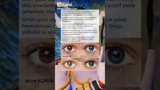 Göz Renkleri Ve Anlamları Sizce De Doğru Mu Yoruma Bekliyorum Hepinizi Selam Saygı Biz Den