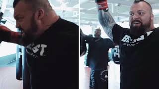 Eddie Hall smash UFC champ and Francis Ngannou’s record for hardest punch