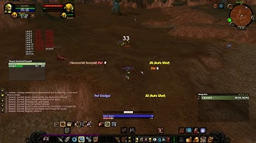 Pet 500 IQ memory for petattack Classic WoW