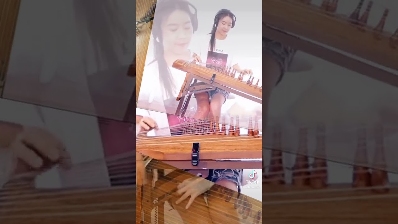 Creedence Clearwater Revival-Have You Ever Seen The Rain Gayageum ver. reposting by Luna Lee