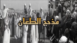 تجمع قبائل - مذحج الطعان ~ 🔥🔥 #محافظة_الحرث