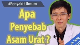 Apa Gejala & Penyebab Asam Urat ?