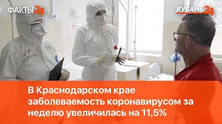 В Краснодарском крае заболеваемость коронавирусом за неделю увеличилась на 11,5%