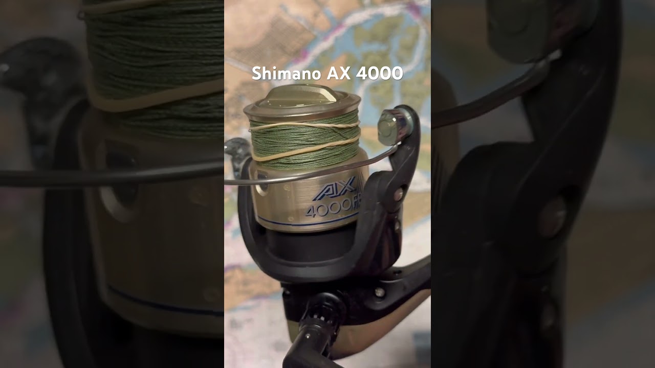 reel shimano stella 10000 sw Shimano Stella SW C Spinning Reel  Grumpys Tackle
