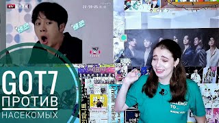 GOT7 ПРОТИВ Насекомых, КТО Победит?! || GOT7 vs BUGS A NEVER ENDING SAGA!!! Ahgase Reaction