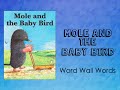 Mole and the baby bird  word wall words