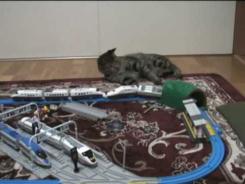 猫ちゃんと新幹線 - YouTube