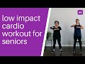 Low Impact Cardio for Seniors, Beginners