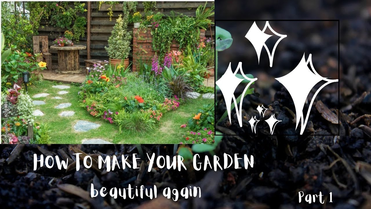 "Transform Your Garden into a Stunning Oasis: Expert Tips for Trimming ...