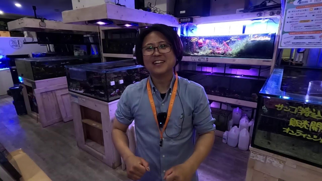 HANNA×TALLMANイベント告知!5/30(土)!ショートマンTV!
