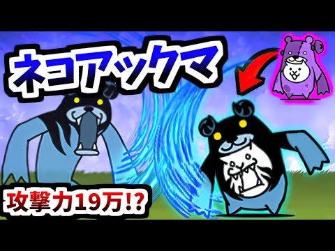 Fallen Bear Cat (Devil Egg : N006 TF) - Information