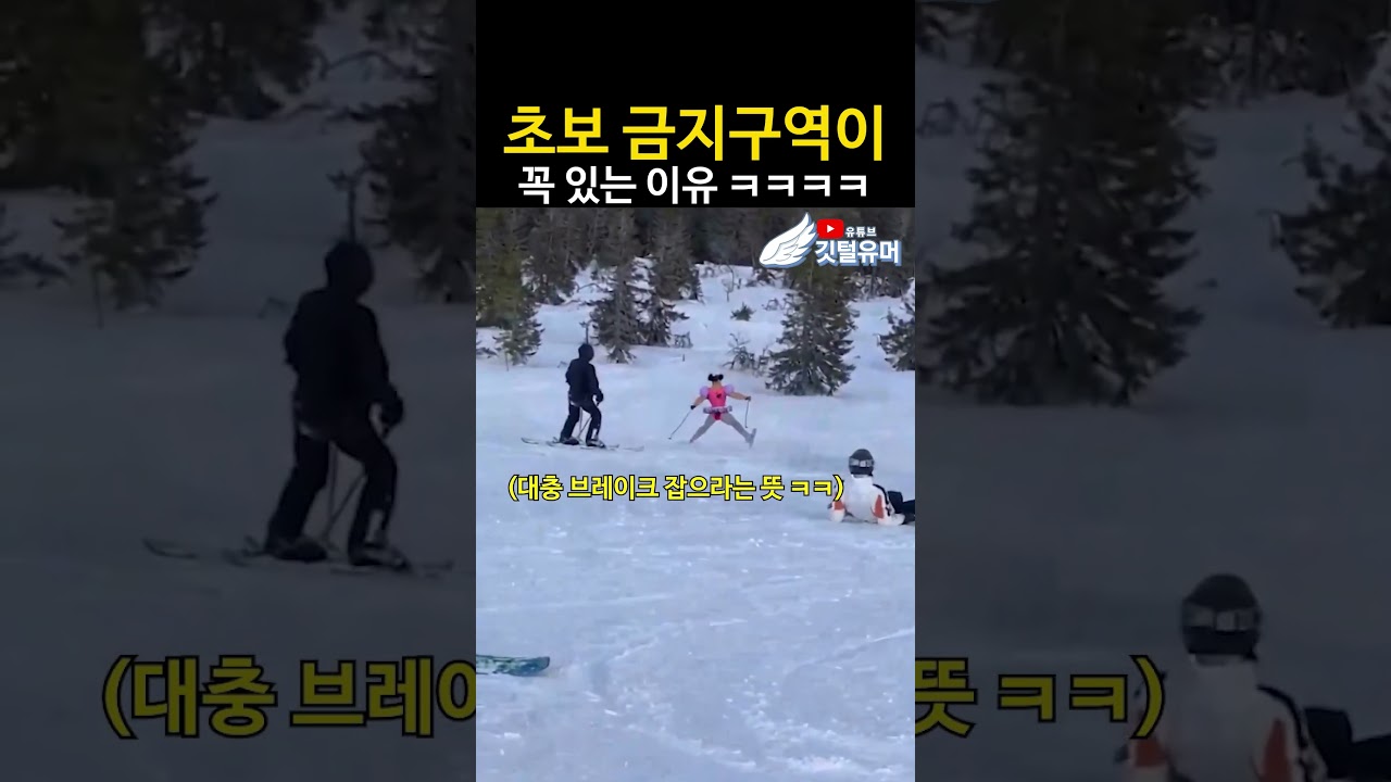 스키 탈 때 이거만 알아도 반은 감 ㅋㅋㅋㅋㅋ