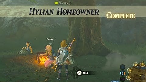 Hylian Homeowner (Getting a Home) | Quest | Zelda BOTW