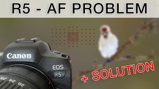 Canon R5 - BIG AF problem and solution (bird photography tutorial) screenshot 5