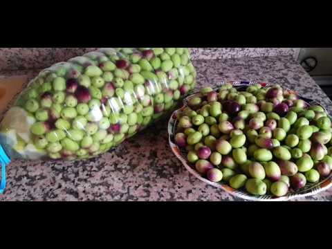 Vídeo: Com Triar Les Olives