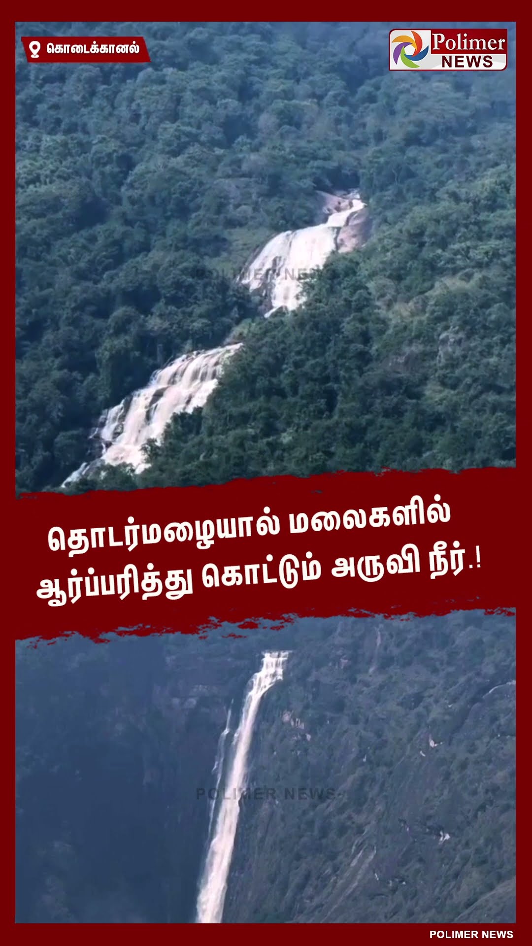 தொடர்மழையால் மலைகளில் ஆர்ப்பரித்து கொட்டும் அருவி நீர்.! #shorts