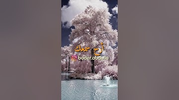 سورة التين  - سعيد الخطيب