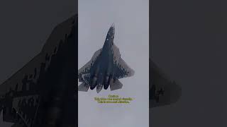 Хвостовая Защелка F-15