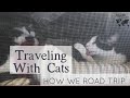 Traveling with Cats | How We Road Trip | MLMR Travel Vlog