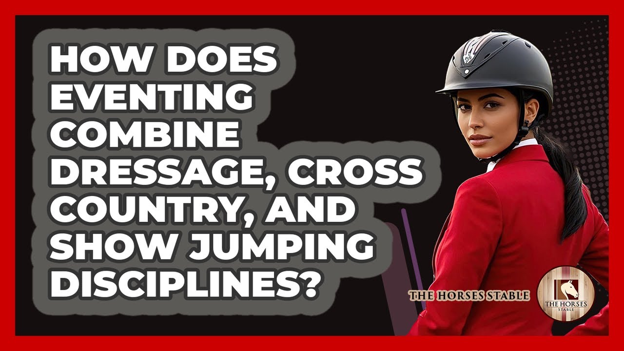 How Does Eventing Combine Dressage, Cross Country, And Show Jumping Disciplines? - The Horses Stable