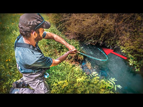 Video: Ein Mann, Der In Seinem Wohnzimmer Fischt