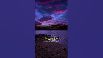 يَا قَوْمَنَا أَجِيبُوا دَاعِيَ اللَّهِ #ياسر_الدوسري #تلاوة_خاشعة