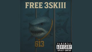Free 3Skiii