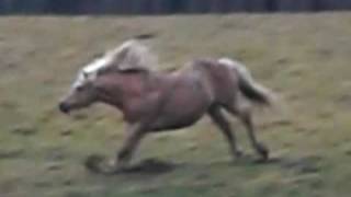 Bild 074.mov