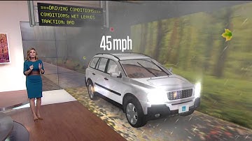 Dangers of Driving on Wet Leaves