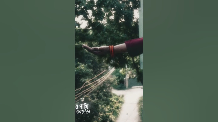 যে পাখি ঘর বোঝে না🐦🍂#beauty #beautiful #pretty #trending #trendingreels #pakhi #nature #hand