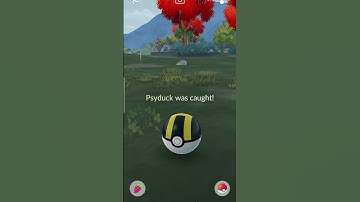 shiny psyduck event pokemon #pokemon