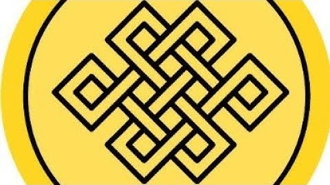 PXR Network Application Launching in 2024