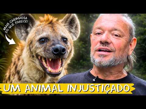 ELAS ENFRENTAM LEÕES 😳 VEJA DE PERTO AS HIENAS NO ZOO DE SP!