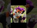 Photo shoot photos #music #pop #popmusic #furry #photography