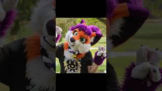 Photo shoot photos #music #pop #popmusic #furry #photography