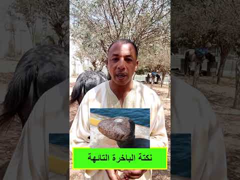 نكتة الباخرة التائهة
