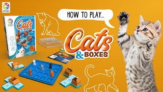 How To Play Cats & Boxes - SmartGames