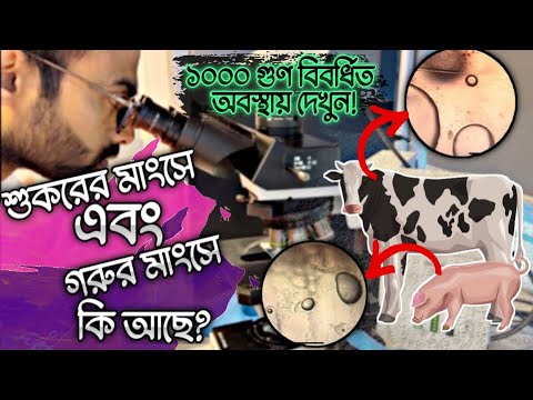 ভিডিও: কড রান্না করার 5 টি উপায়