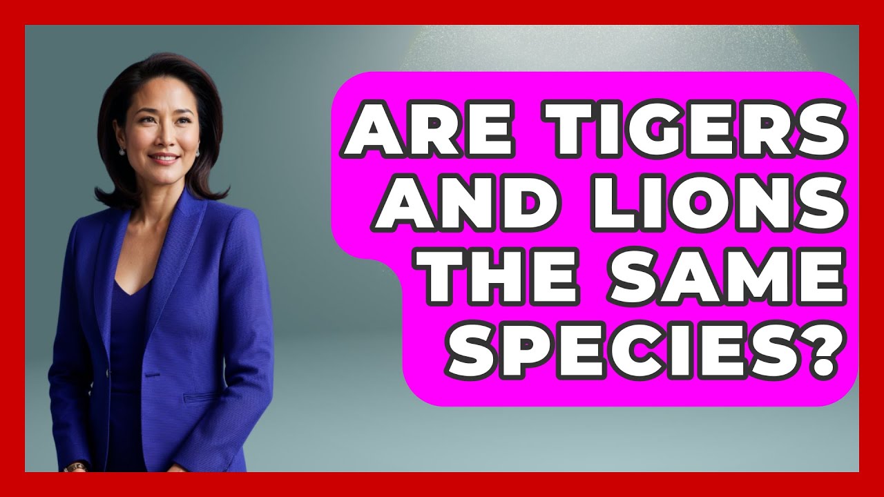 Are Tigers And Lions The Same Species? - Biology For Everyone