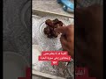 بعضنا قد لا يعلم معنى يختانون في القران 