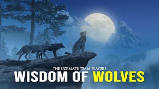 Wisdom Of The Wolves  Best Motivational Video