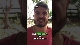Sistema Imunológico A Polícia do Seu Corpo Explicada!